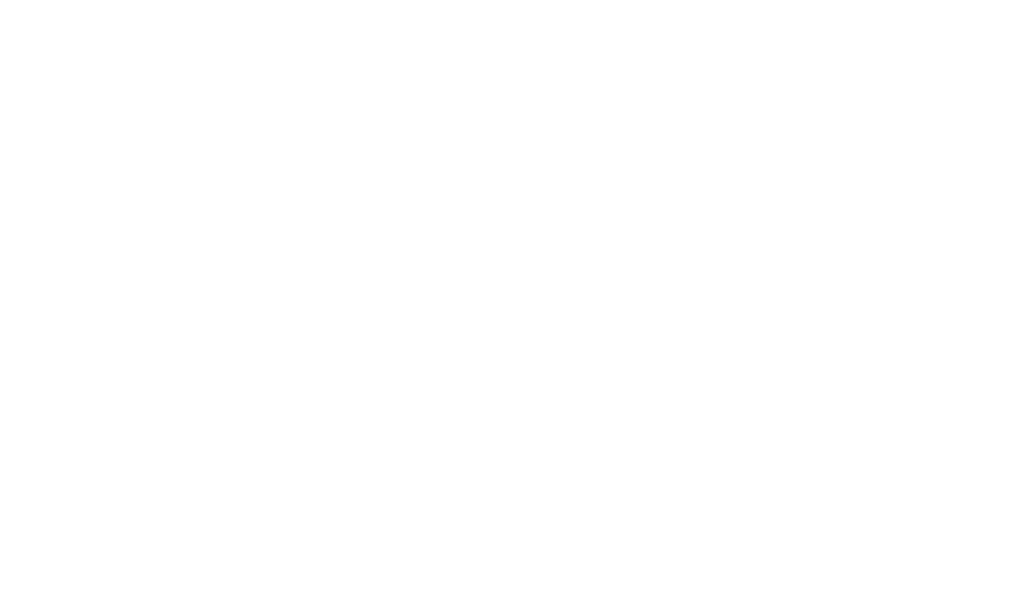 REDE-INTERNACIONAL-DE-CONTABILISTAS----VISEEON PORTUGAL